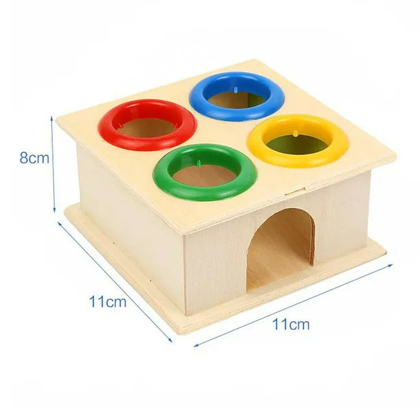 Wooden Montessori Starter Bundles – Perfect for Early Childhood Play MGT Toys